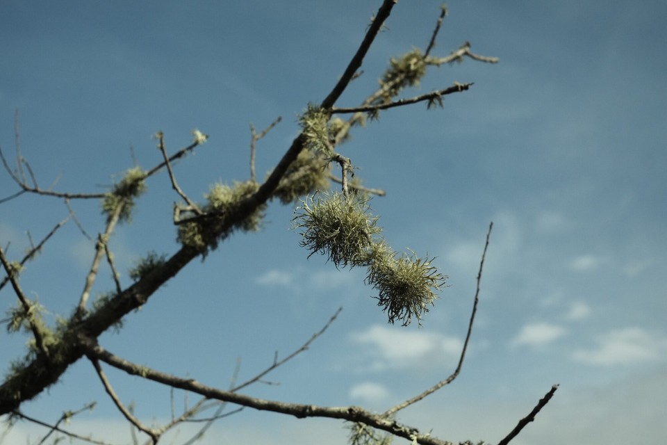 Portugal - Aljezur - 