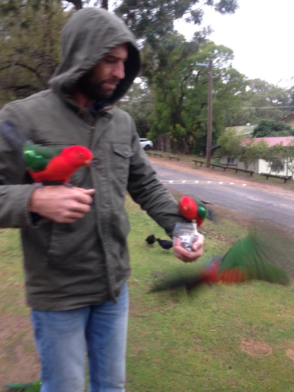 Australia - Burrinjuck - 