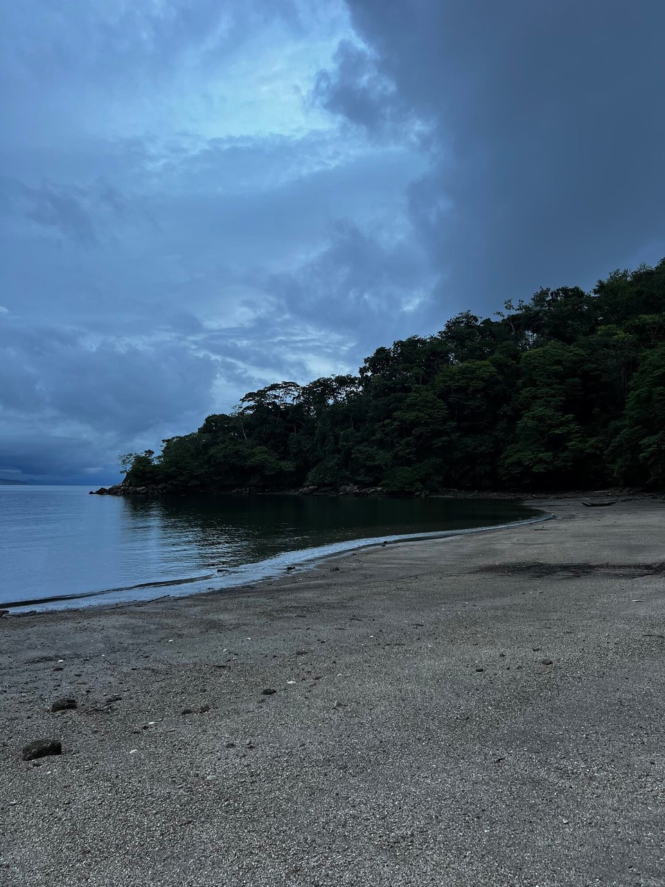 Costa Rica - Puntarenas - Und nachdem mer Wasserschildchrotte und Pelikane gseh hend simmer uf dere Insle acho. De Tourguide het eus det abglade und ufem Boot für eus kocht. I de zwüscheziit sind mir völlig elei mit ere Channe Kaffi uf dere Insle gsi und hend‘s eifach cjönne gnüsse