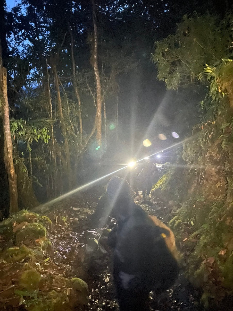 Costa Rica - Pérez Zeledón - … zu elft haben wir mit unseren Stirnlampen den Weg gut ausgeleuchtet 💡 🚶🏽🚶🏽‍♂️🚶🏽‍♀️ 🌳 