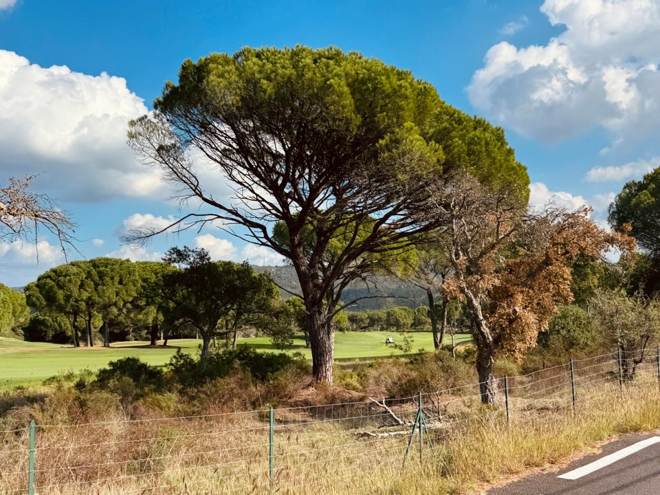 Frankreich - La Garde-Freinet - 