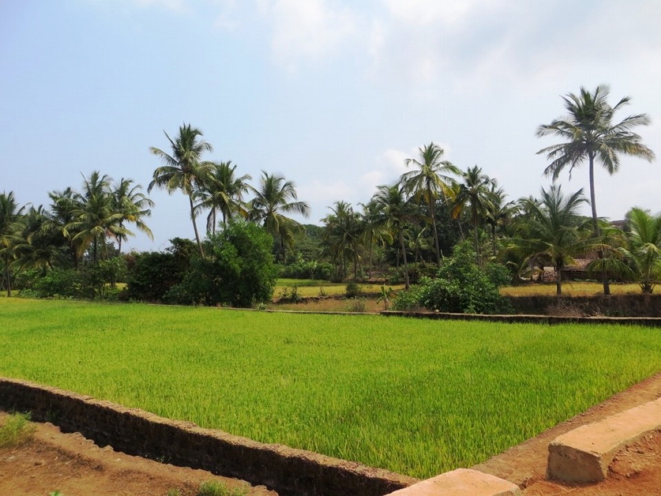 Indien - Palolem Beach - 