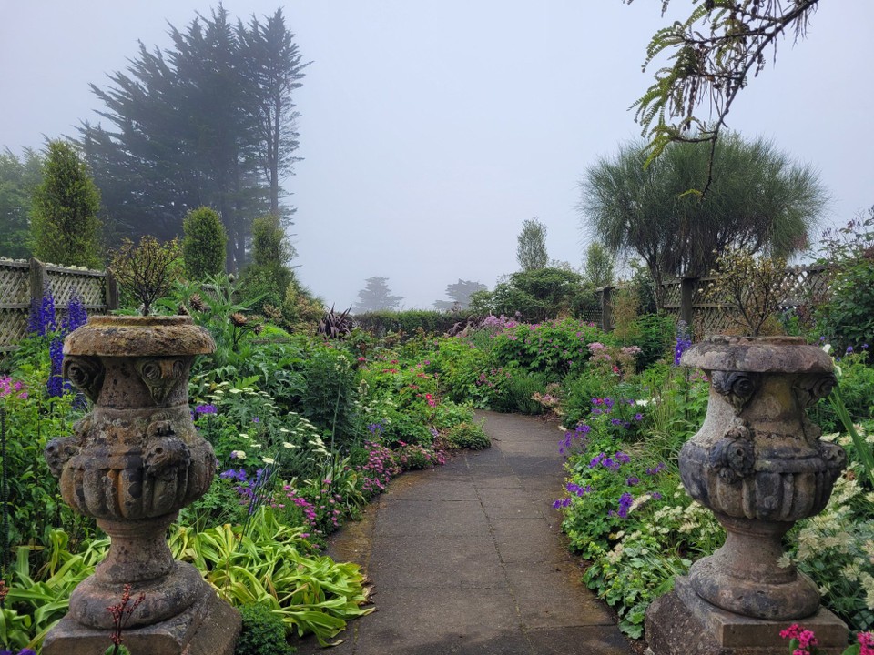 Neuseeland - Otago Peninsula - 