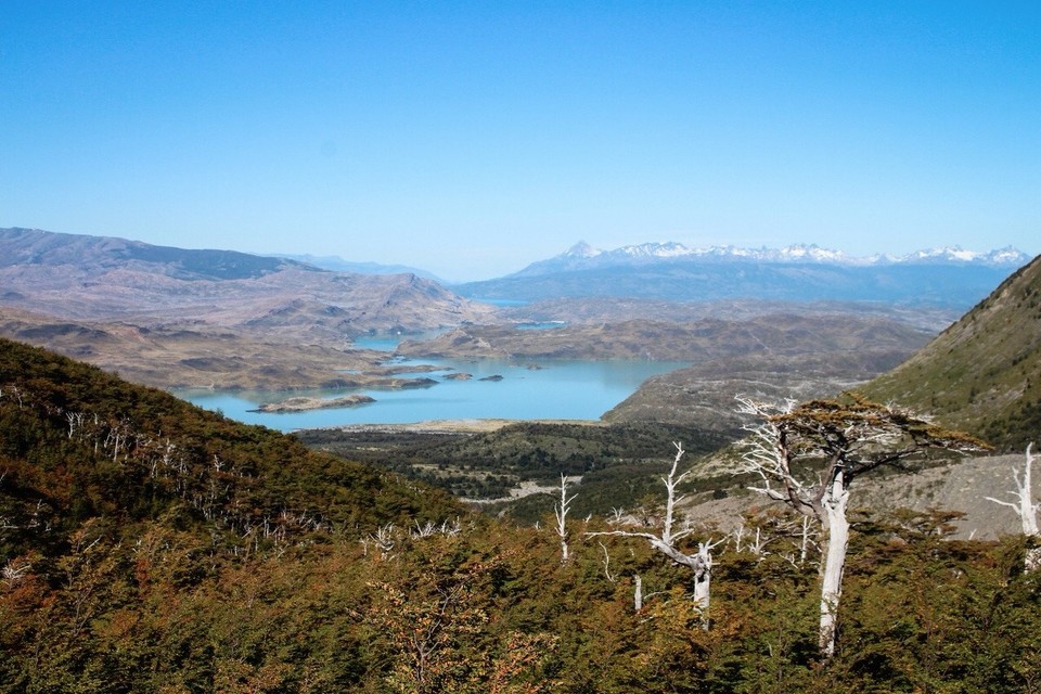 Chile - Torres del Paine - 