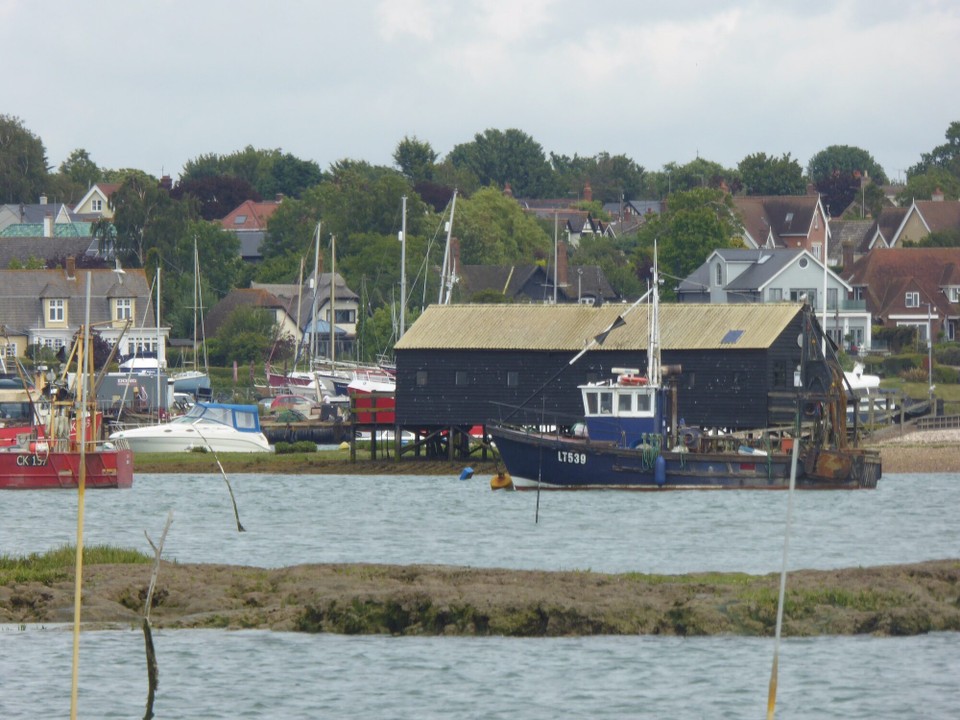 United Kingdom - Maldon - Packing Shed Island, Mersea.