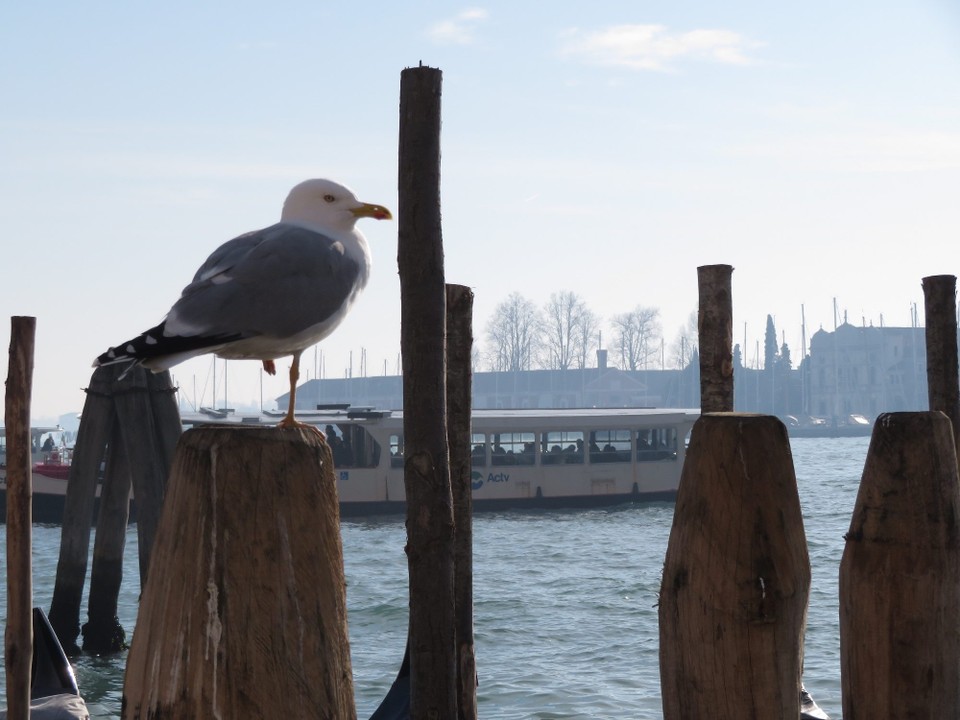 Italien - Venedig - 