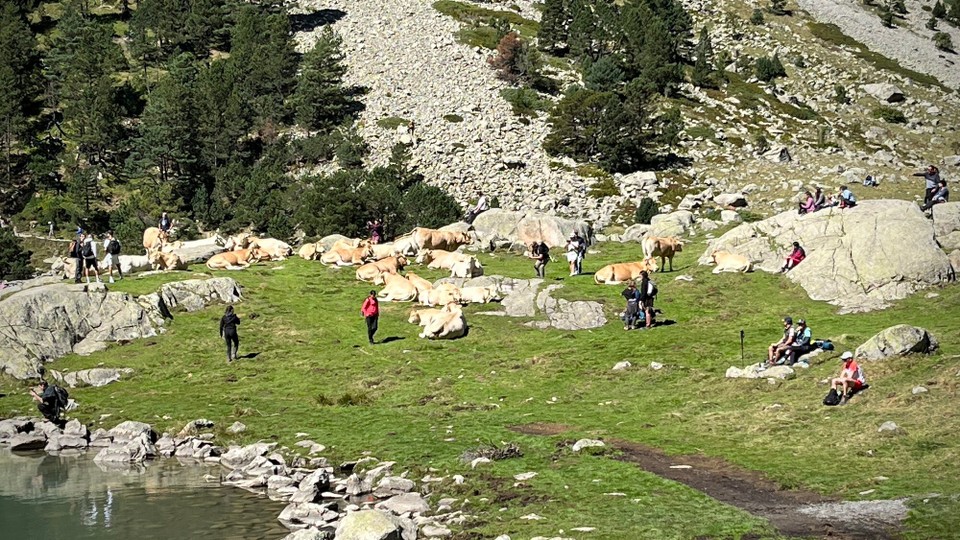 Frankreich - Cauterets - 