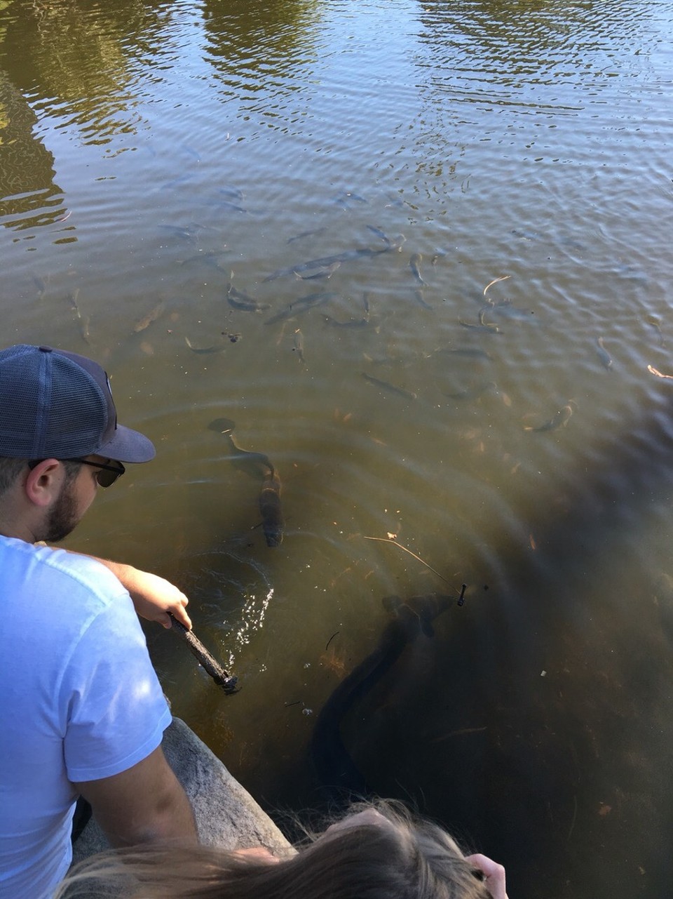 Australia - Sydney - Unser Guide zeigt uns natürlich auch die Fischwelt der Umgebung - wusstet ihr das Ale auf Stöcke reagieren wenn man sie ins Wasser hält? Ich auch nicht. 