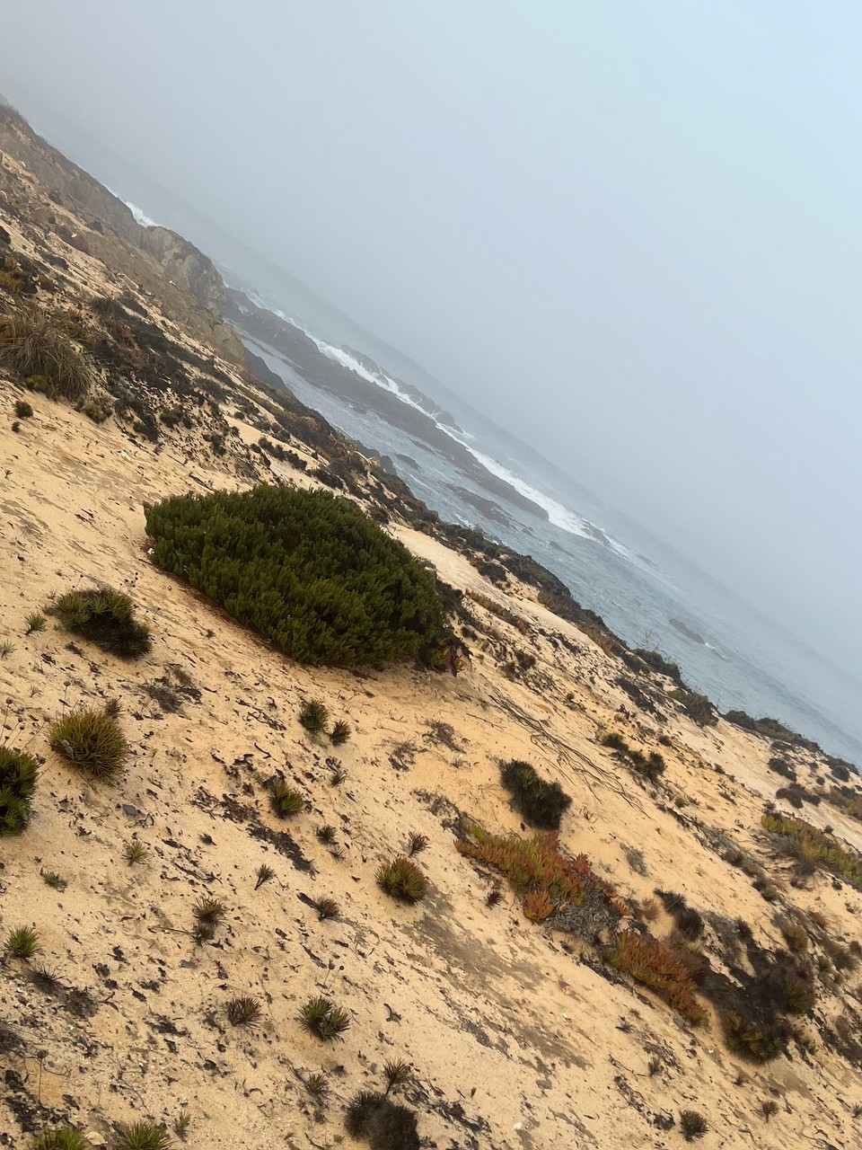 Portugal - Longueira-Almograve - 