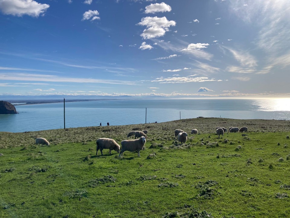 Neuseeland - Christchurch - 