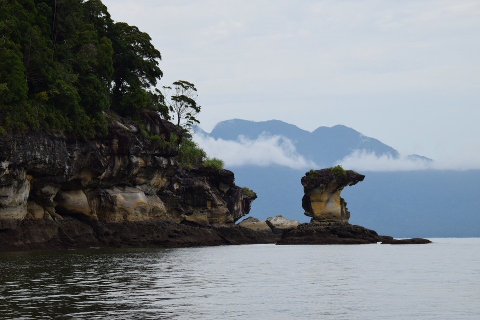 Malaysia - Kuching - Der Kobrakopf ist eine Laune der Natur.
