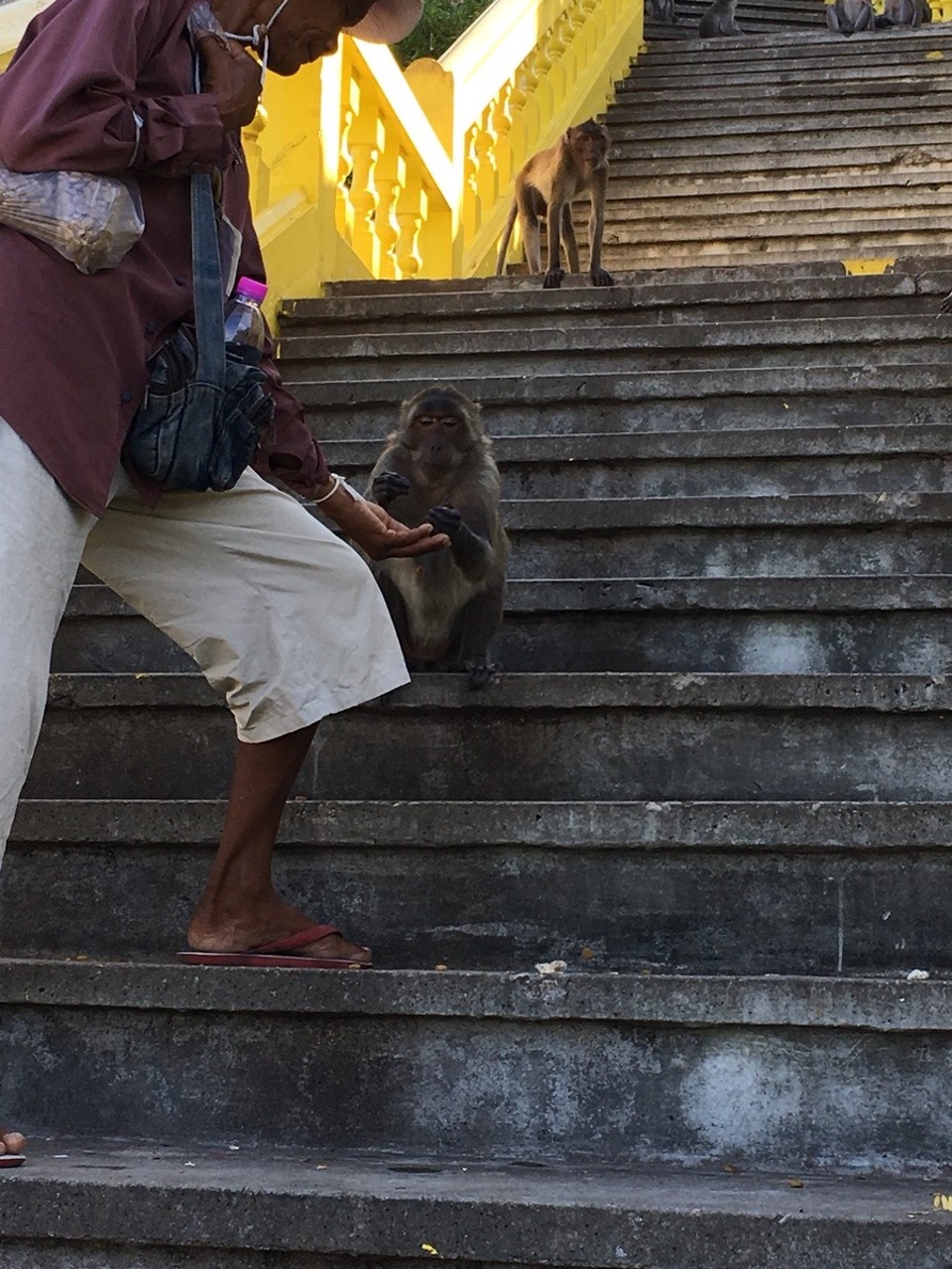 Thailand - Amphoe Sam Roi Yot - 
