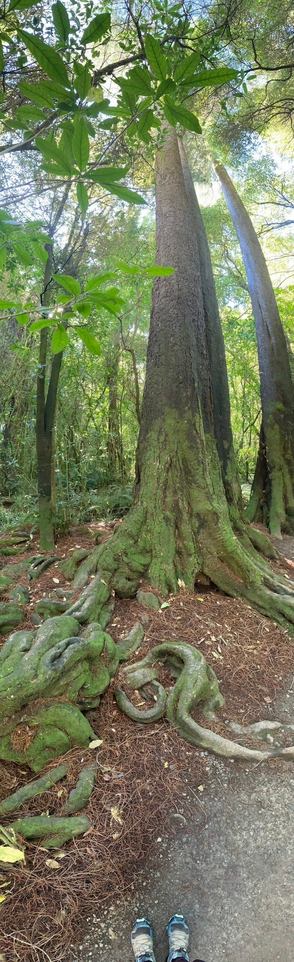 Neuseeland - Christchurch - 