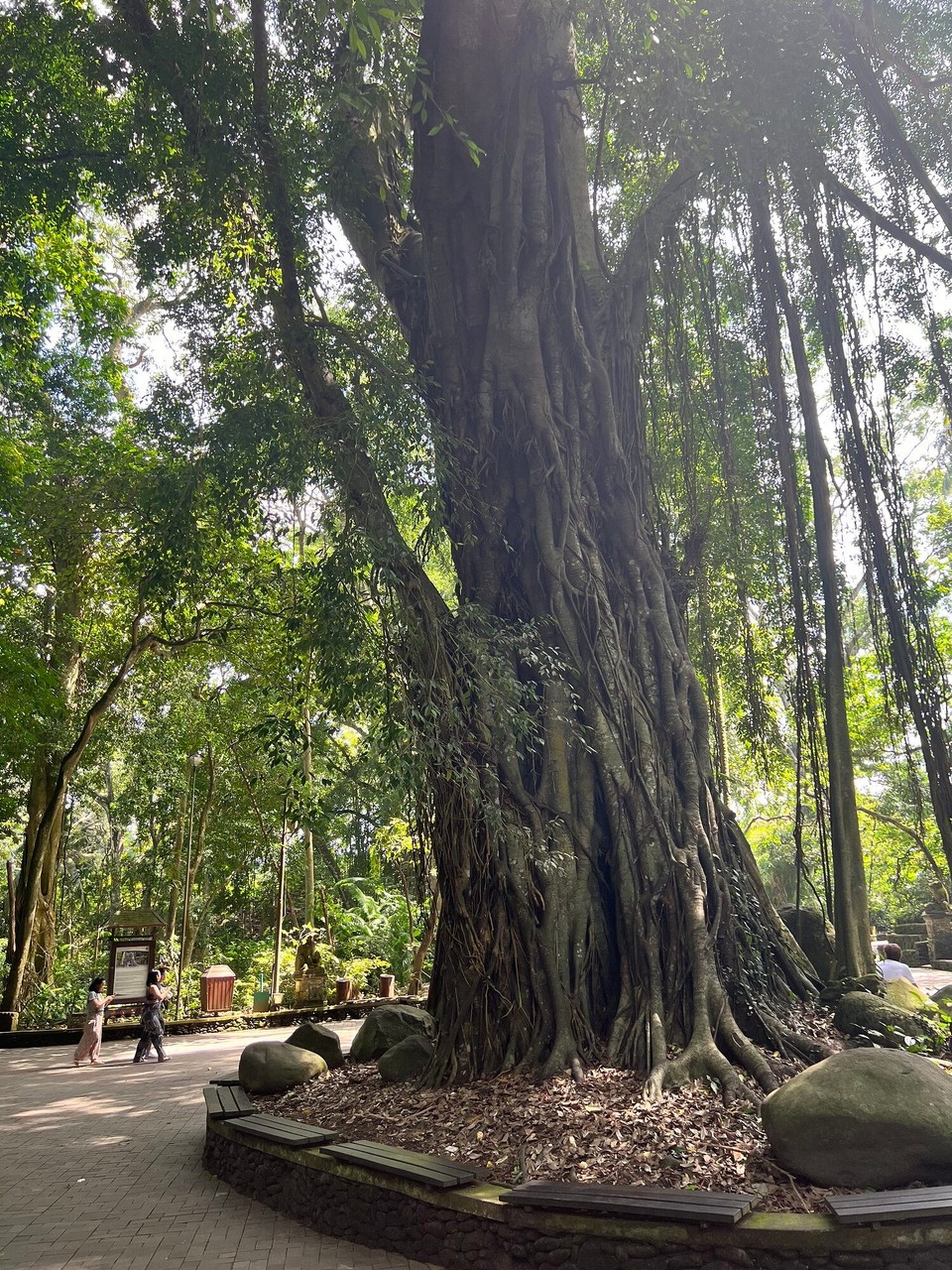 Indonesien - Gianyar - 