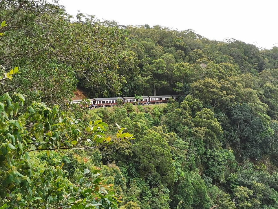 Australien - Kuranda - 