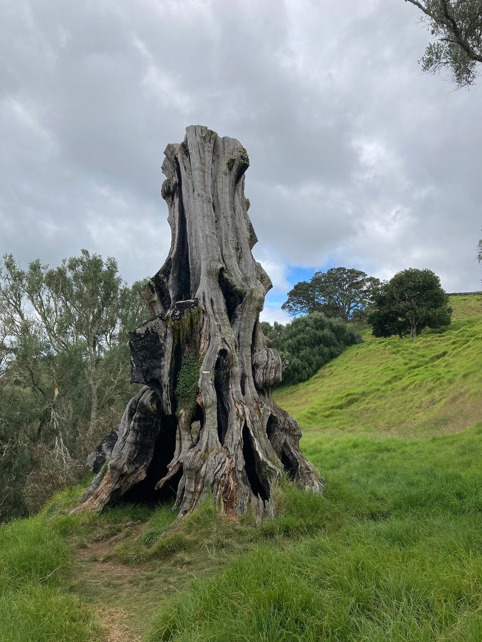 Neuseeland - Auckland - Where the fairies begin…