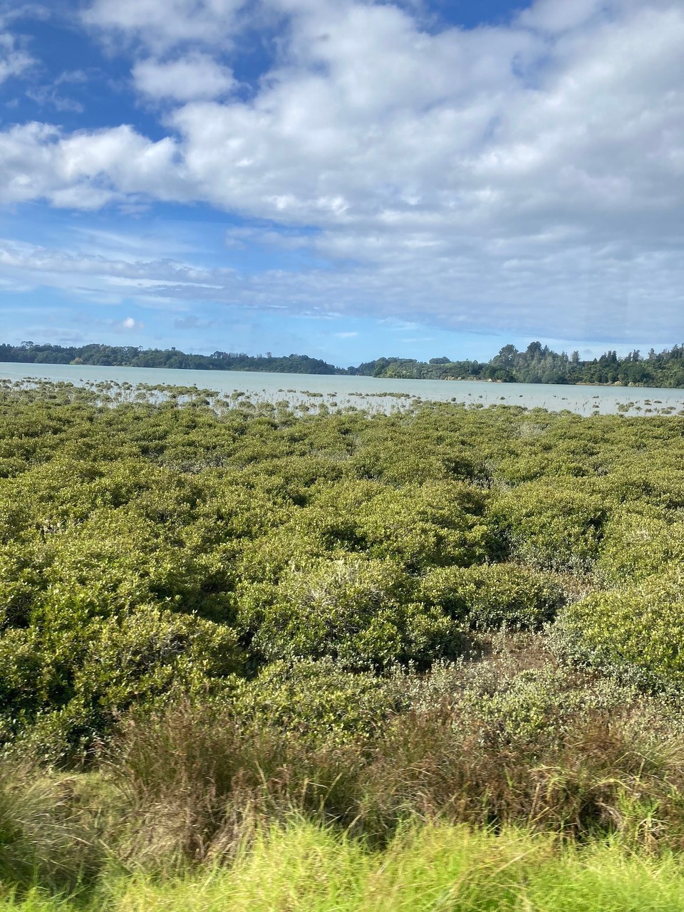 Neuseeland - Rotorua - Erst Seen und dann …