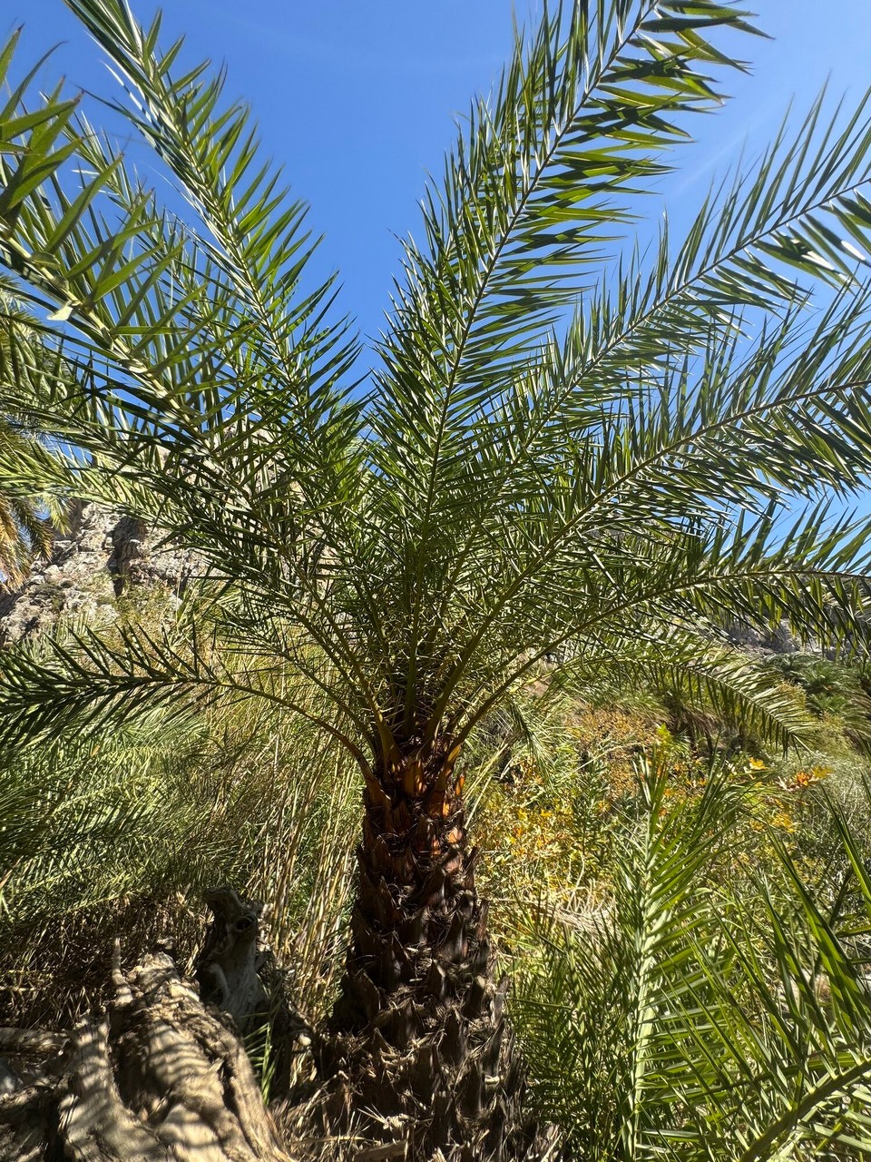 Griechenland - Asomatos - 