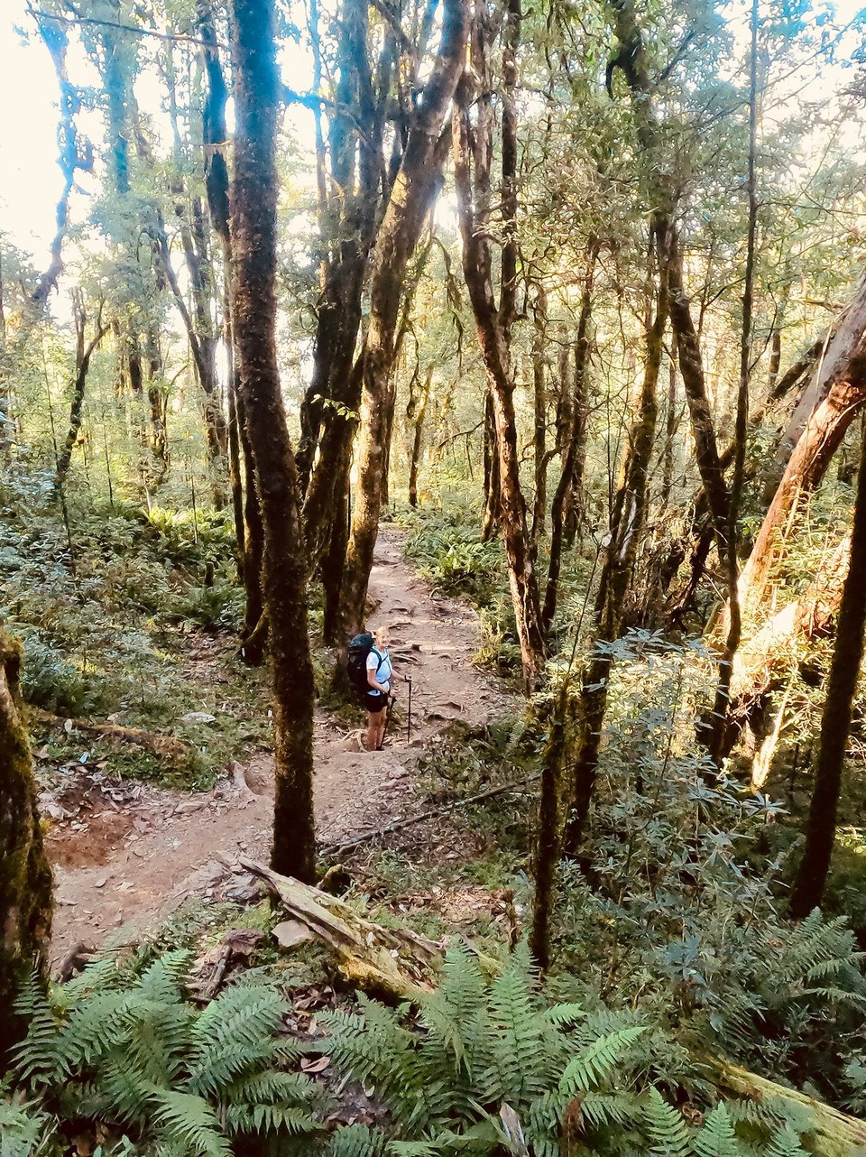 Nepal -  - 