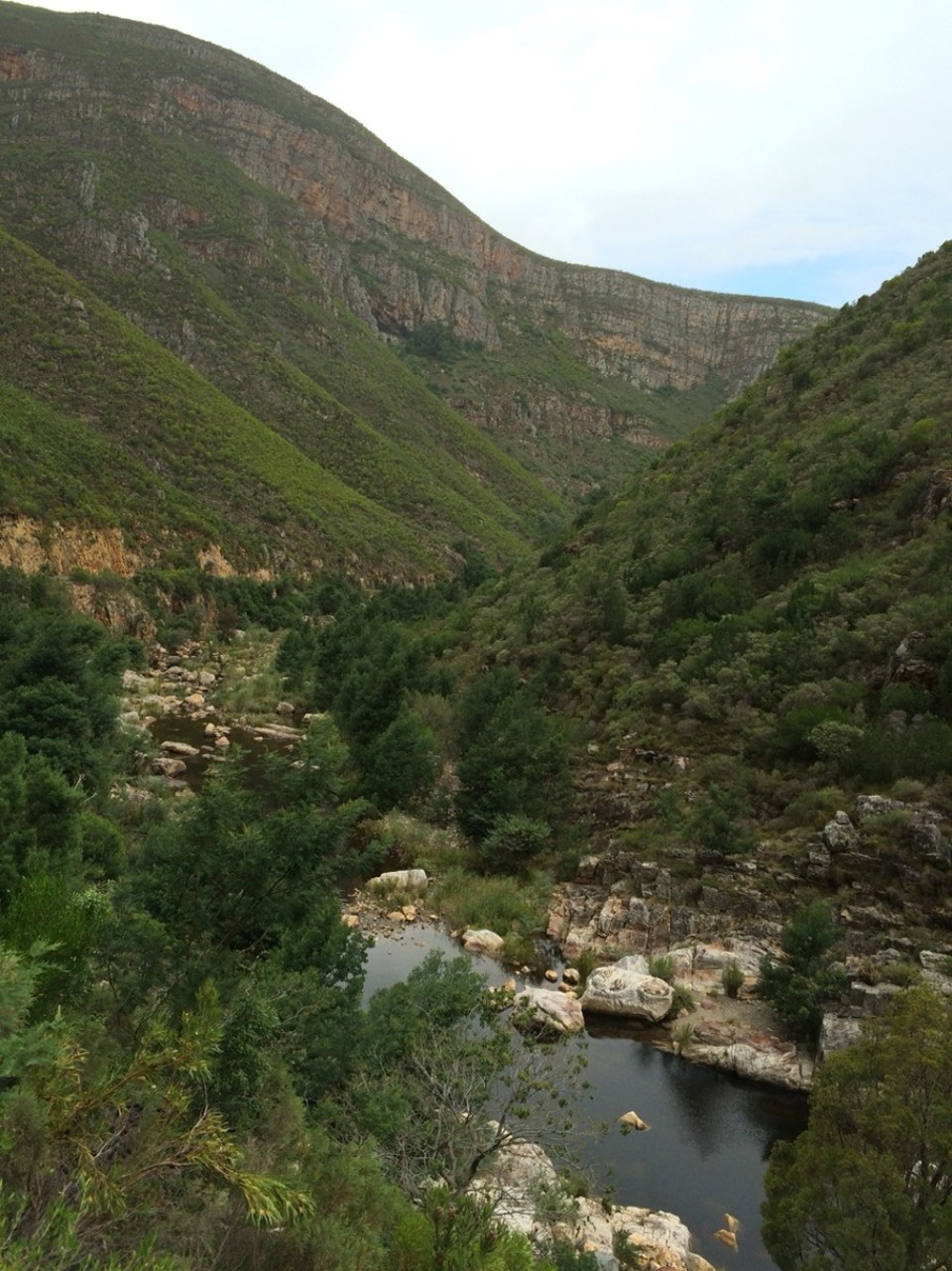 Südafrika - Swellendam - Marlot Nature Reserve (zwischen Barrydale und Swellendam)