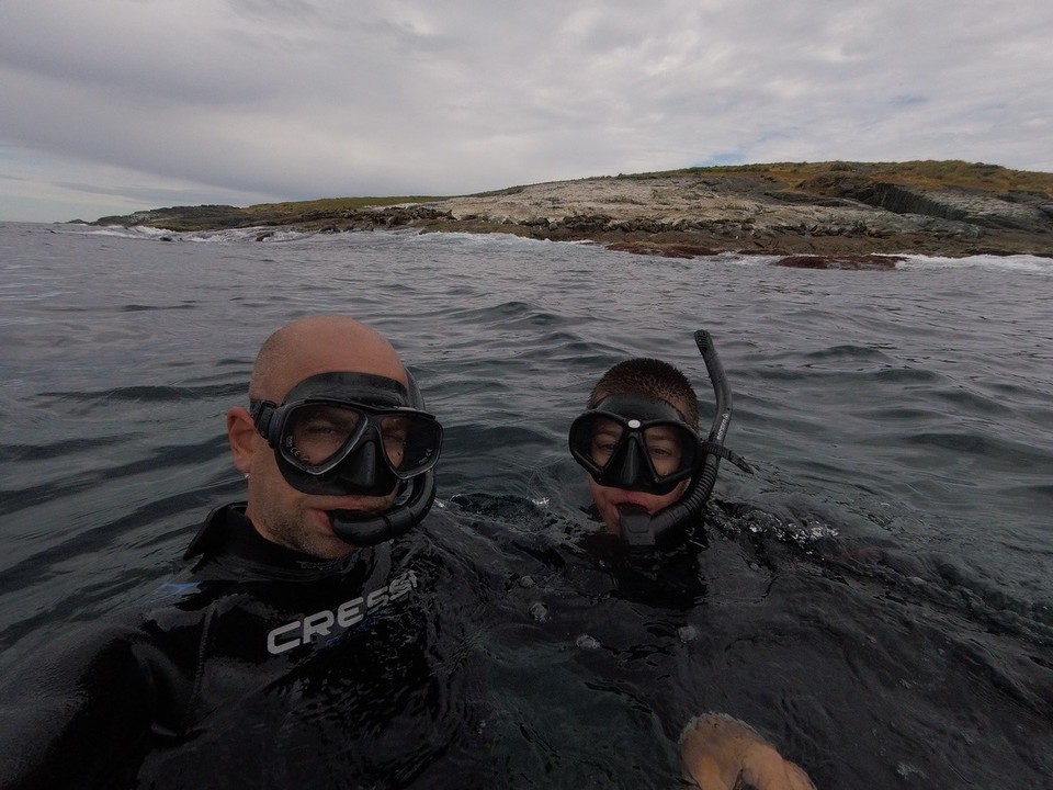 Australia - Montague Island - 