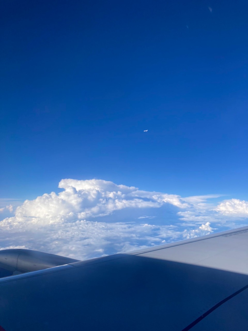 Indien - Neu-Delhi - 