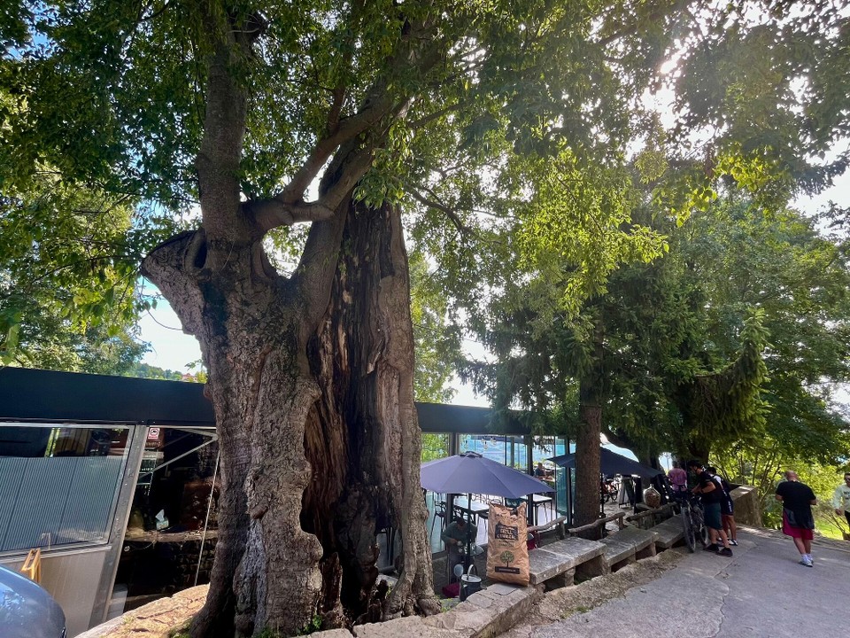 Kroatien - Grožnjan - 