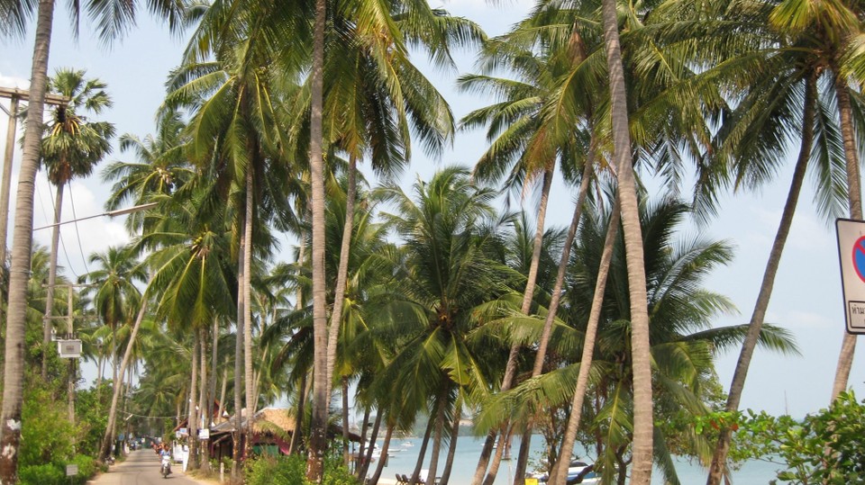 Thailand - Bo Phut - 