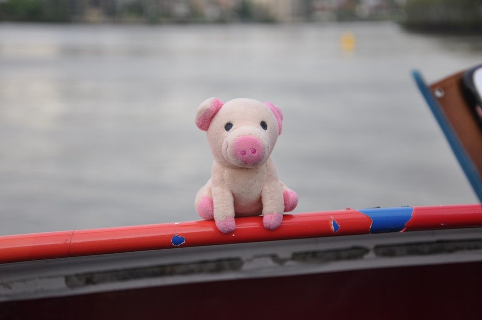 Australien - Brisbane City - 