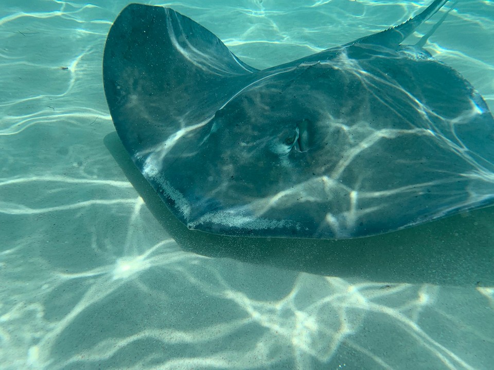 Kaimaninseln - Cayman Islands - 