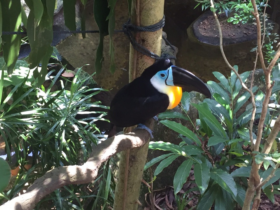 Singapur - Macpherson - 