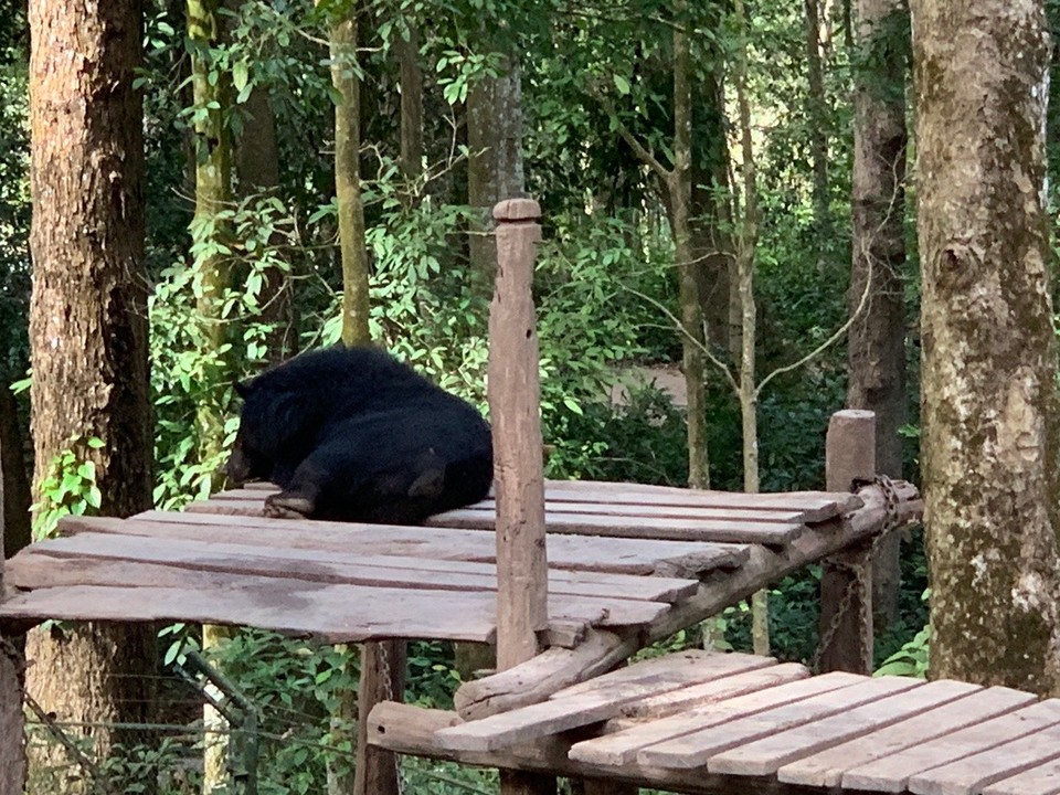 Laos -  - 