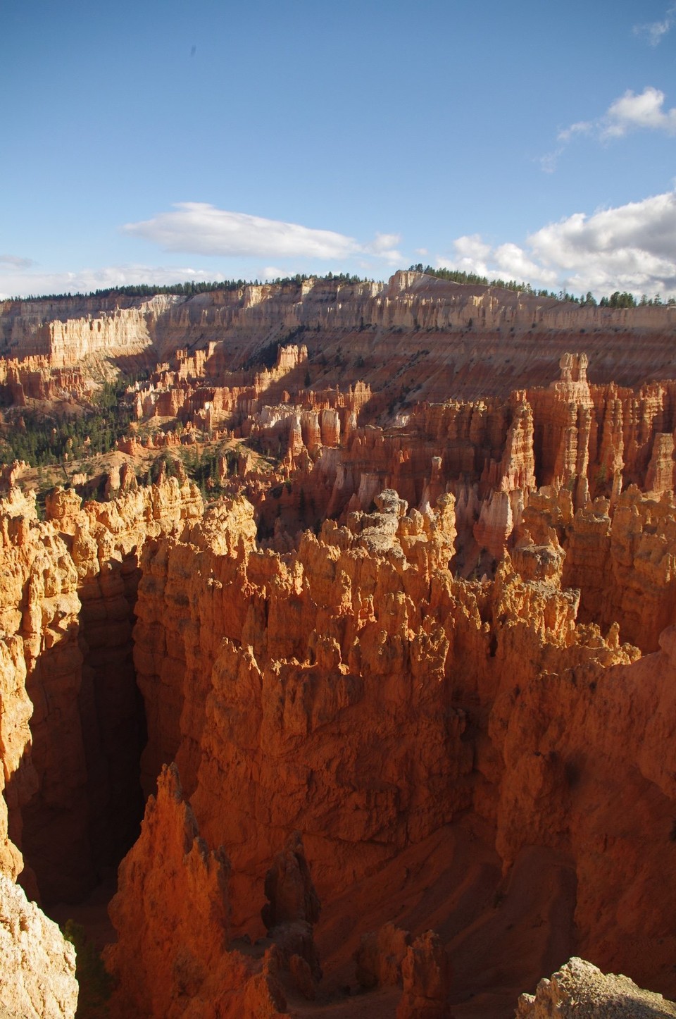 USA - Bryce-Canyon-Nationalpark - 