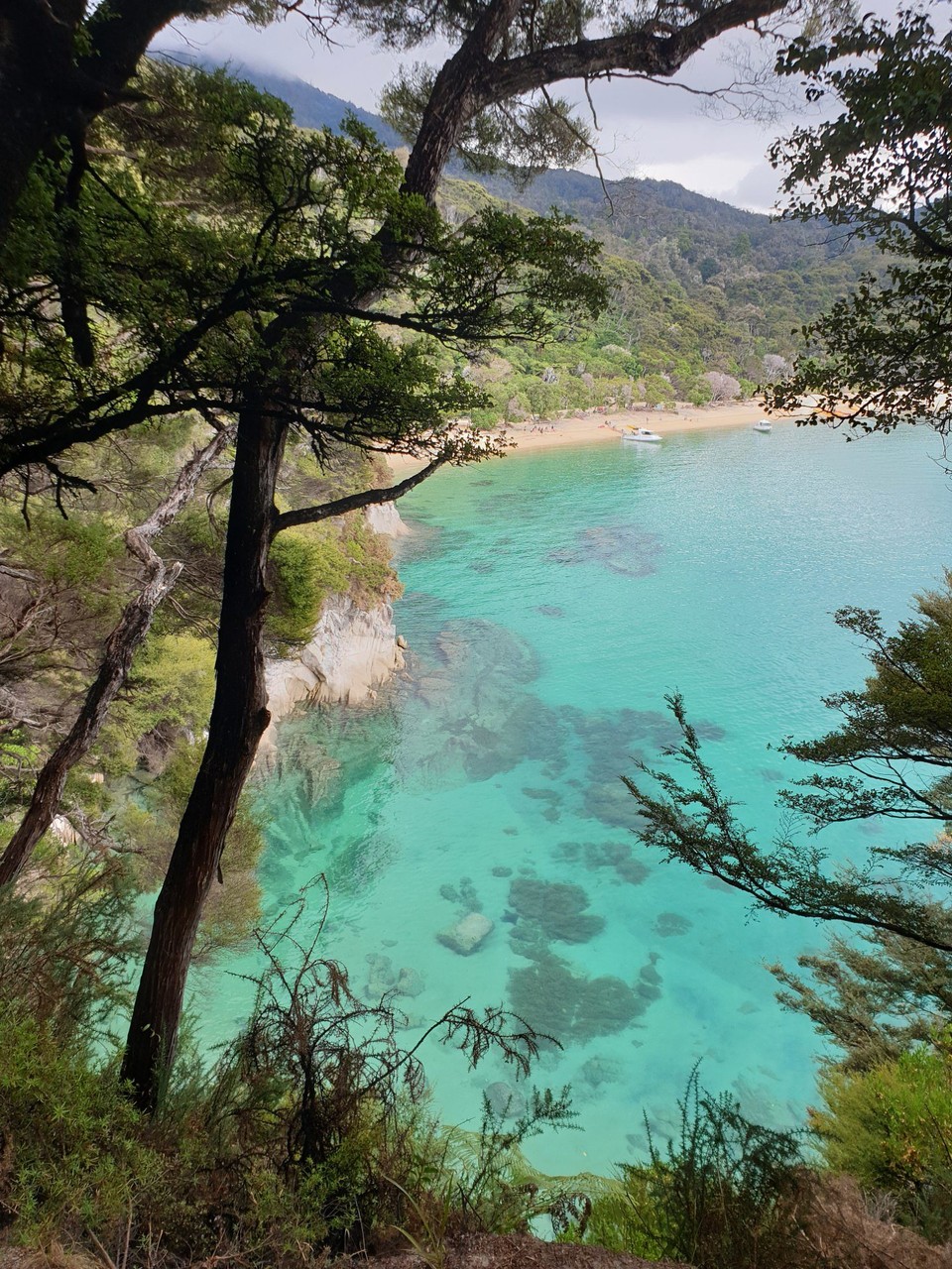 Neuseeland - Mapua - 