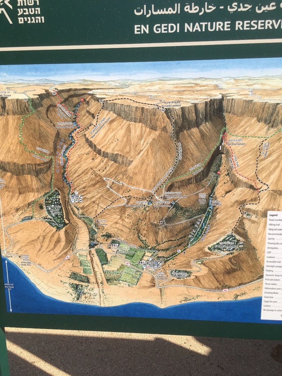 Israel - Ein Gedi - 