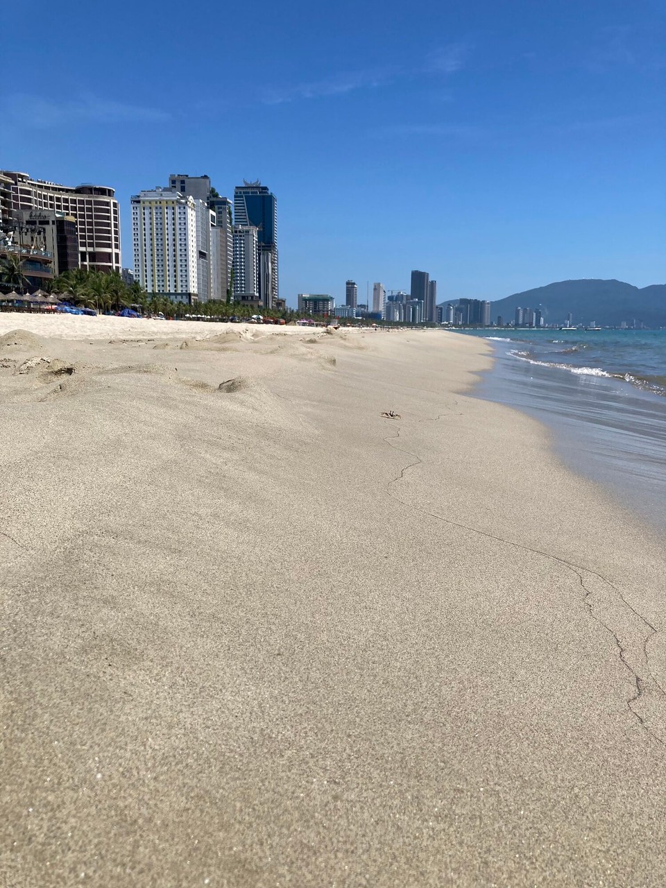 Vietnam - Da Nang - Eine kleine Krabbe leistet mir Gesellschaft 🙋🏻‍♀️