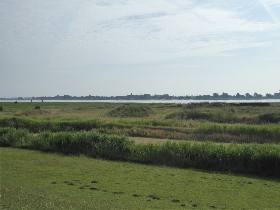 Deutschland - Cuxhaven - Unser letzter Weserradweg-Tag begann ruhig und beschaulich. Natur, schönes Wetter, gut gefrühstückt und bester Laune.