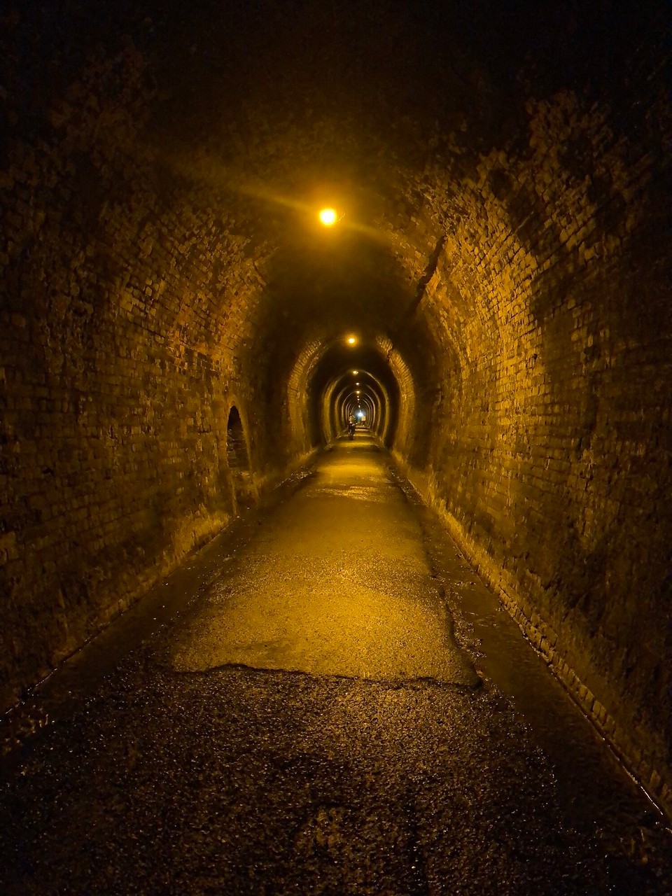 Neuseeland - Kaimai-Mamaku Forest Park - 