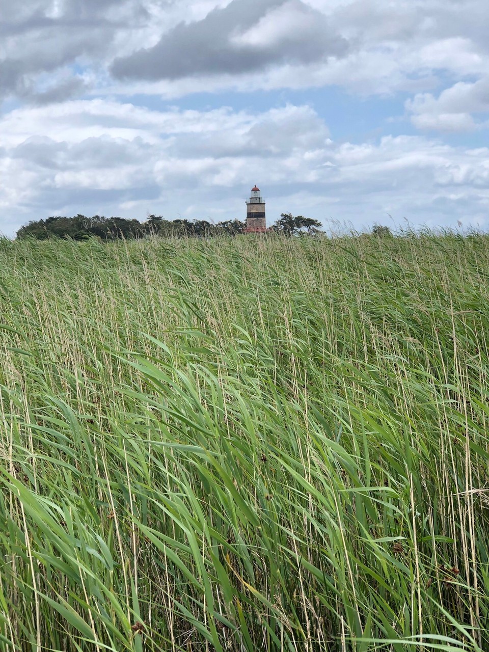 Schweden - Vellinge - 
