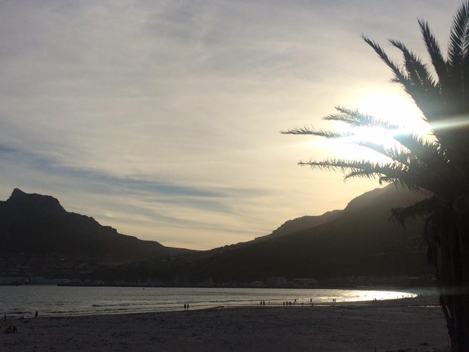  - Südafrika, Kirstenbosch - 