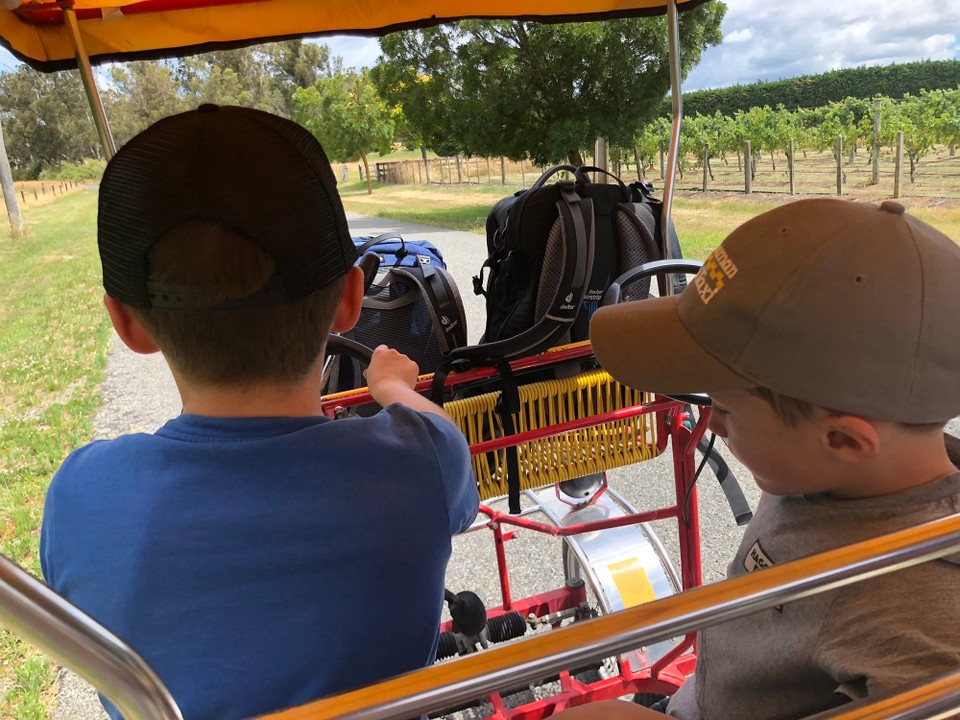 Neuseeland - Martinborough - 