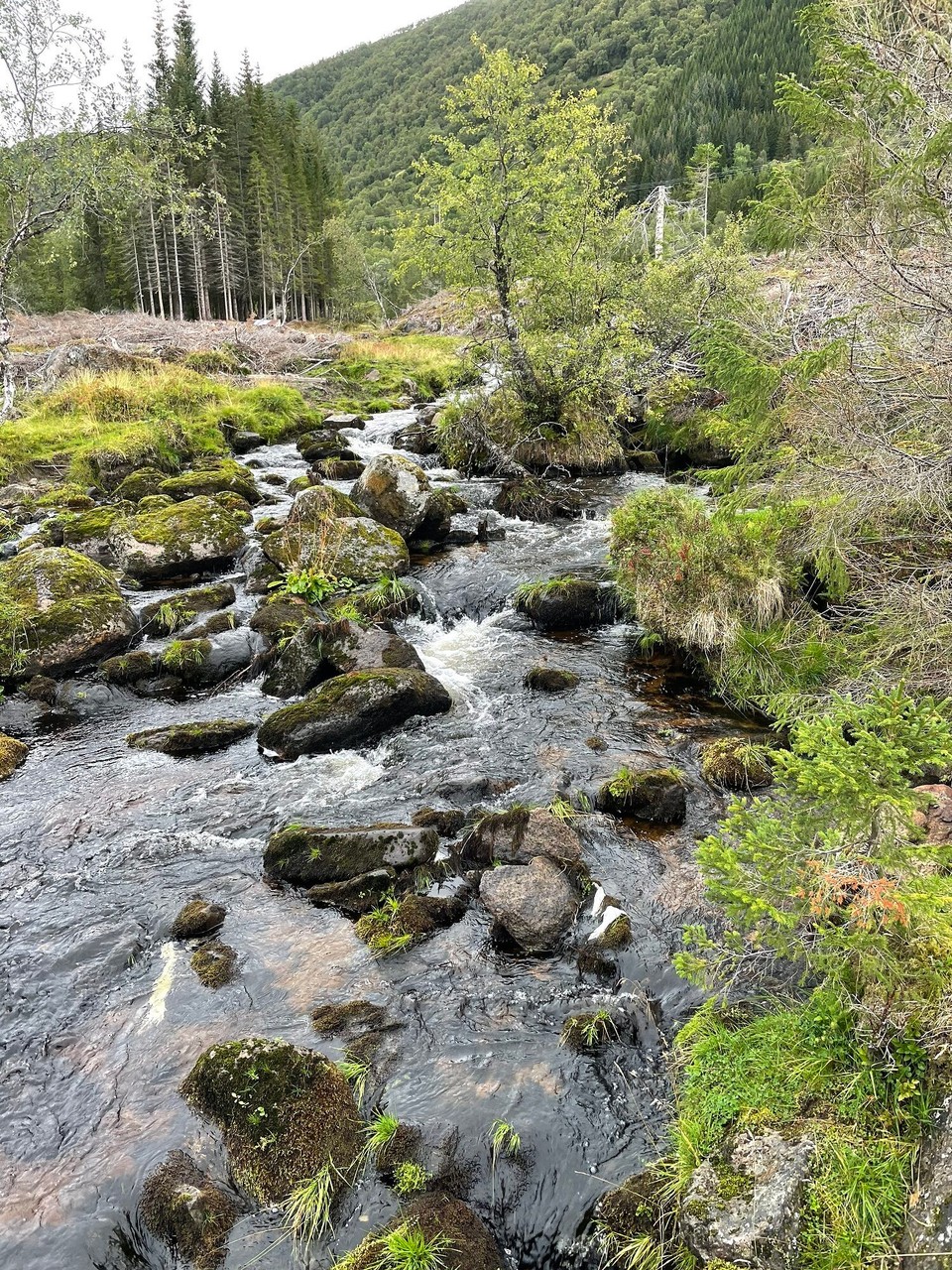 Norwegen - Straumsjøen - 