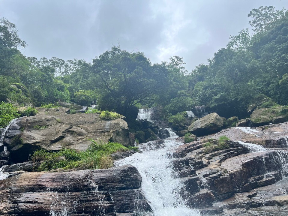 Sri Lanka -  - 