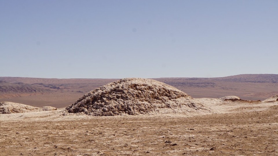 Chile - Santiago de Chile - Sieht lecker aus