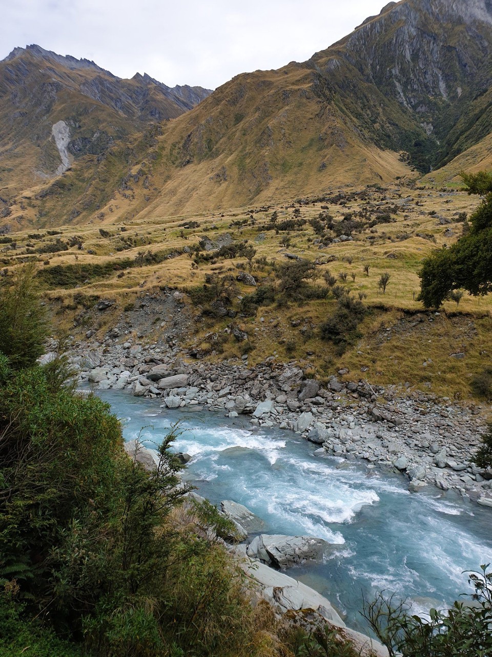 Neuseeland - Wanaka - 