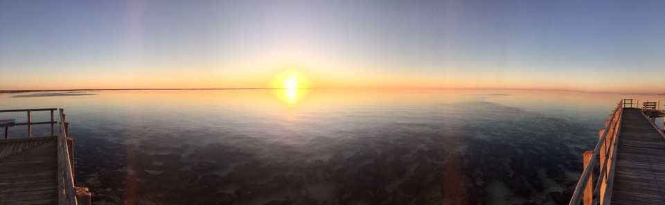  - Australia, Hamelin Pool - 