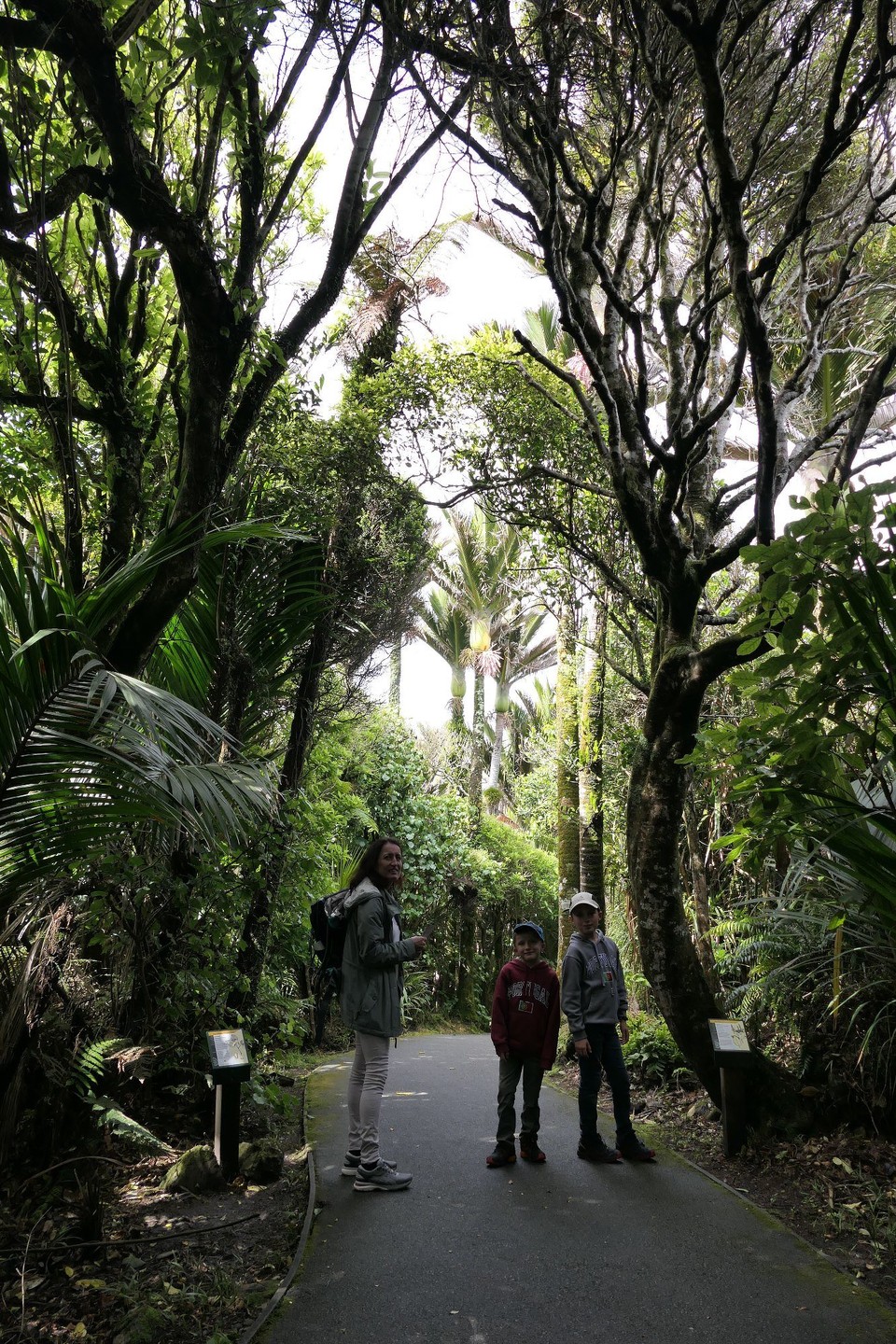 Neuseeland - Carters Beach - Weg durch den Busch zu den Pancake Rocks