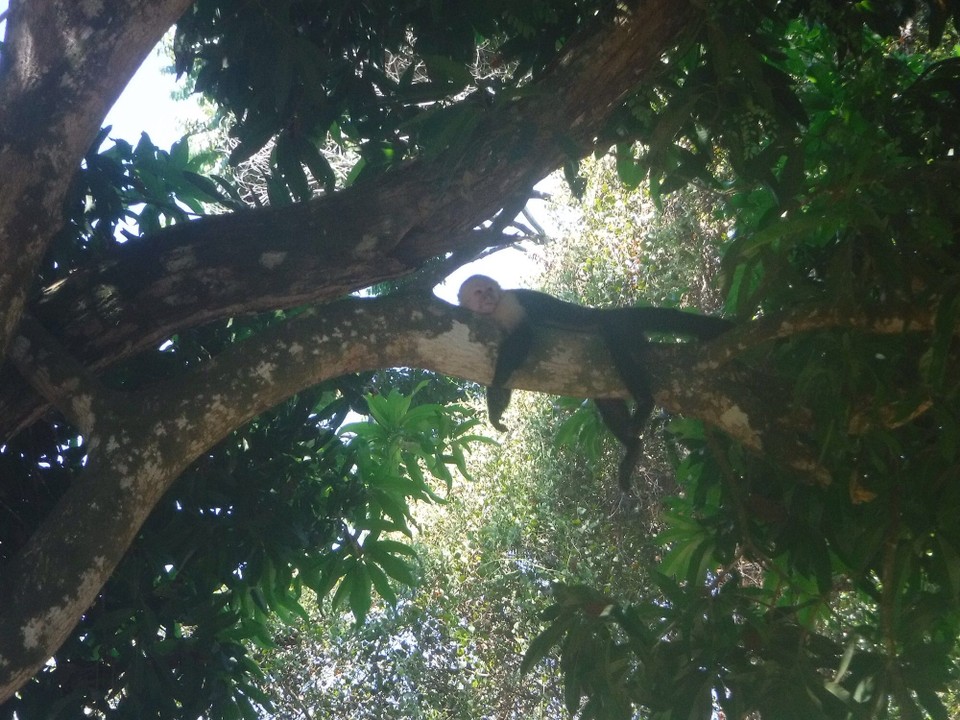 Costa Rica - Perez Zeledon - 