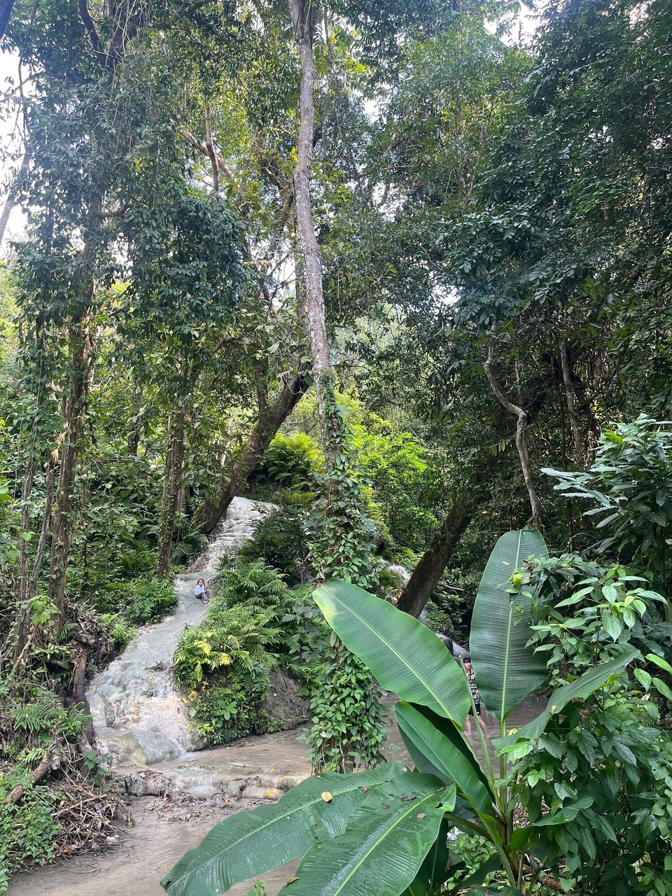 Thailand - Mueang Chiang Mai - sticky waterfall day! Ellie, Esha and I signed up to this tour through my hostel. We had such a nice group and met some new people from England, Germany, Canada, New York, and Scotland. Jack was from Billericay so we called ourselves the 3 Bs (Benfleet, Billericay and Brentwood)😂