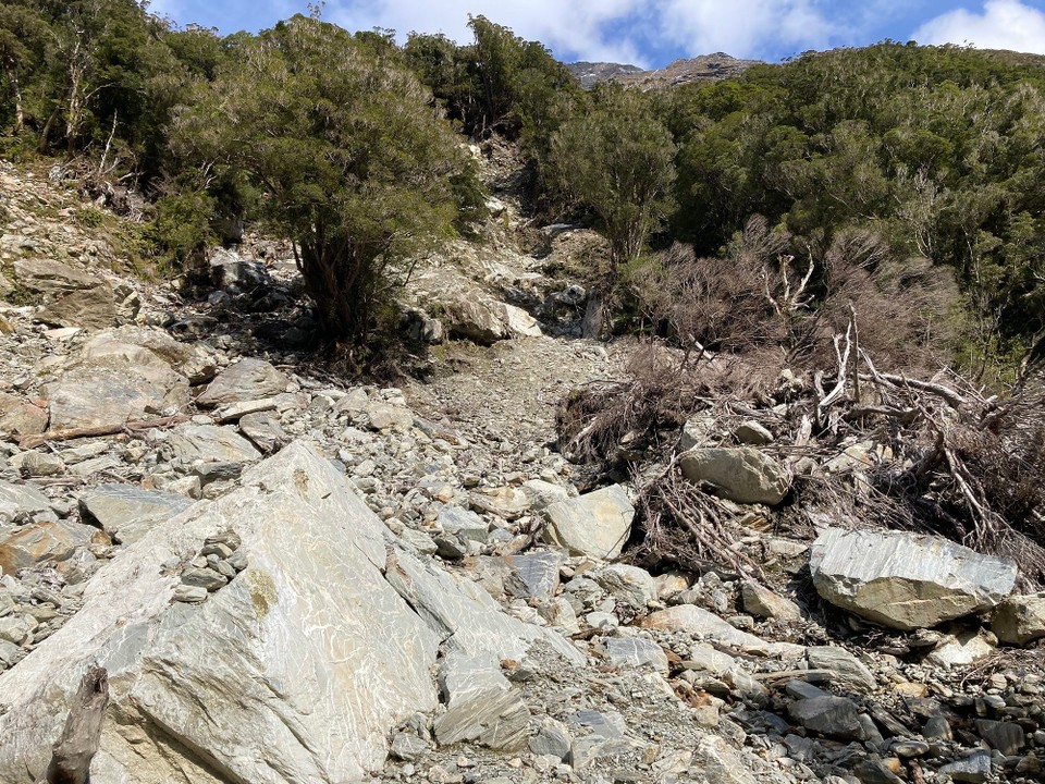Neuseeland - Whataroa - Leider wird der Weg immer schlechter, viele Gerölllawinen und die Suche nach dem Weg ist auch ziemlich umständlich, sodass ich nach drei Stunden feststelle, dass ich es nicht zum See und zurück zur Hütte im Tageslicht schaffen würde 😕
Also entscheide ich mich für einen kurzen Tag und lauf zurück